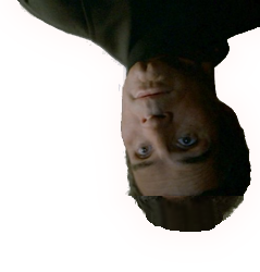 The Stupendous Yappi